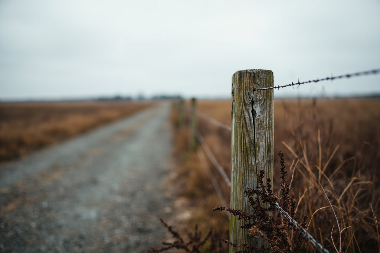 A weathered farm fence post beside the gravel dyke trail at Terra Nova, Richmond BC