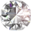 HN Wedding Studio logo