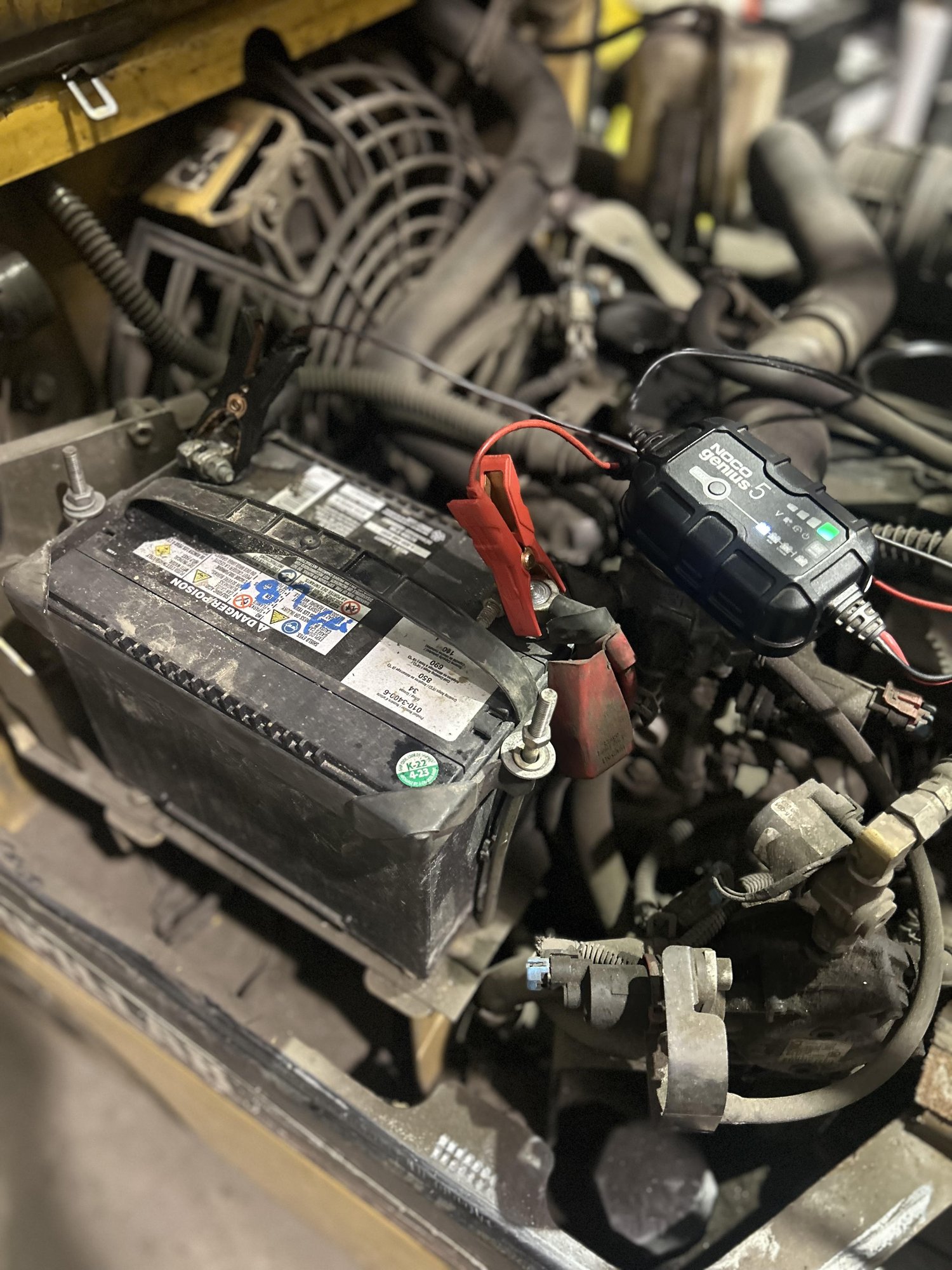A NOCO Genius 5 twelve-volt charger clipped onto a battery still mounted in a grease-covered engine bay, its red clamp on the positive terminal and its status light lit.